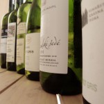 Test rulandského šedého