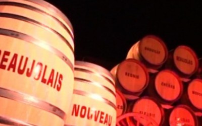 5 důvodů proč pít Beaujolais Nouveau