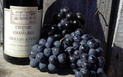 Víte, jak to vlastně je s tím „Beaujolais nouveau est arrivé?“ III.