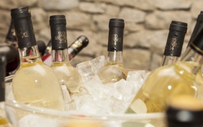 Test: Svatomartinská vína