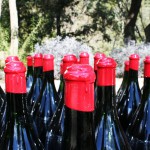 10974726_785163061558752_880799630569838584_o