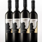 rr10848037_916242205054500_2725285443001353238_n