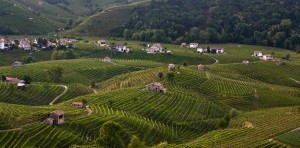 479388_282394815175547_1710891601_o