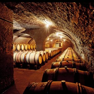 photo-du-domaine-antonin-guyon-001