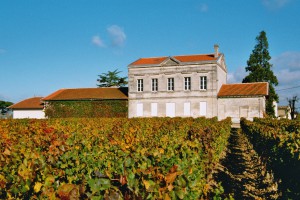 Chateau-de-Domaine-de-lEglise-+-vigne-proche