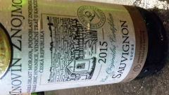 20161018_193023 20161018_193023