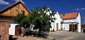 Vinařství Krásná Hora