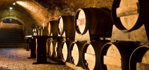 Sklep vinařství Tanzberg