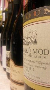 Pinot Noir z Moravy a Čech