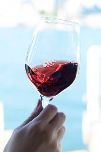 Malbec - Wines of Argentina
