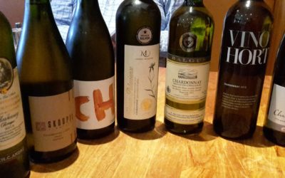 Test Chardonnay: Moravská vína