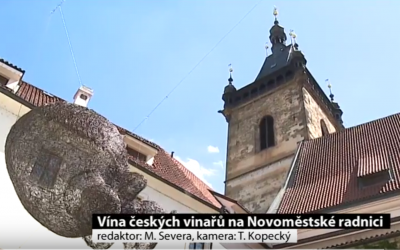 Vína z vinařské oblasti Čechy na Novoměstské radnici v Praze