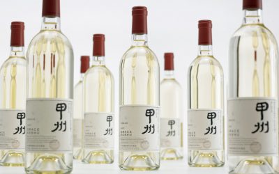 Japonské víno