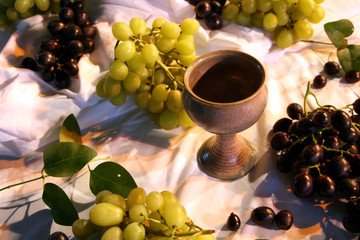Degustace tuzemských vín v Praze, Brně a jinde v týdnu 26. srpna až 1. září 2019